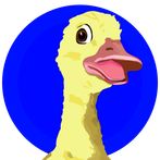 Ducker Adventure