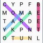 Word Puzzle - Word Search Game