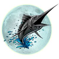 Big Night Fishing 3D