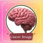 Brainy: Guess Image Quiz