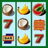 Caça Níquel do Coquinho