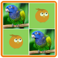 Birds Memory Match Game