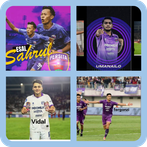 Daftar Pemain Persita FC