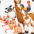 SuTi_Apps