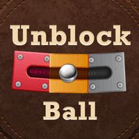 Unblock Puzzle Game