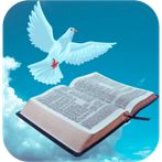 Quiz Bíblico Jogo Gospel