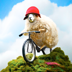 Super Wild Boom Trials