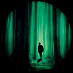 Силуэт в лесу - текстовый квес