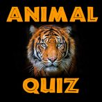 Animal Quiz