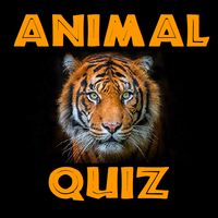 Animal Quiz