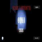 SCARY LABYRİNTH