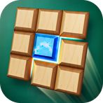Wood Sudoku Block