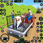 Animal Transport Truck Driving