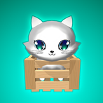 Cats And Boxes