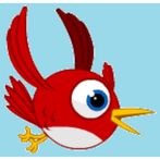 flapping bird