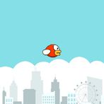 bbok bird