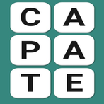 word search:word puzzle game