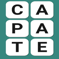 word search:word puzzle game