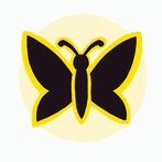 Sensory Cause and Effect