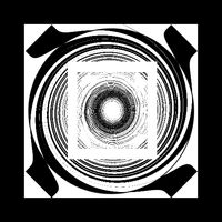 Black Hole Experience