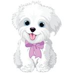 Animal Sounds for Kids Pro