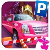 Pink Lady Limo Taxi Driver Go