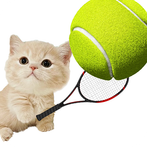 Cat Tennis Star