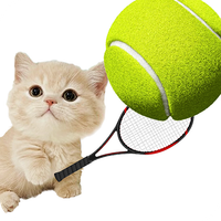 Cat Tennis Star