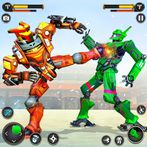 Kung Fu Karate Robot Fighting