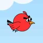Bird Party