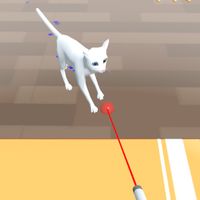 PlayfulCat