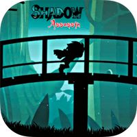 Shadow Assassin