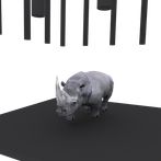 Catche the rhino