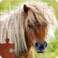 Pony and Horse Jigsaw Puzzles