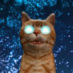 Cats and Lasers