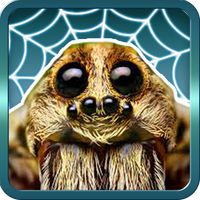 Spider Gagambattle!