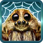 Spider Gagambattle!