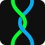 Looper Infinite