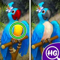 Differences Search Spot & Find