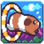 Guinea Jump - Jump Guineapig