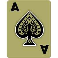 Callbreak Prince: Card Game