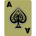 Callbreak Prince: Card Game