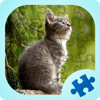 Kittens jigsaw puzzles games