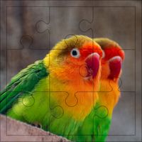 African Animals Puzzles