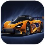 Dual Control Racing