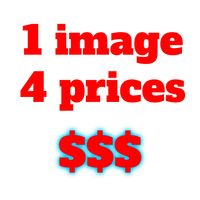 1 image 4 prices