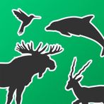 Живая Планета 4D