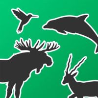 Живая Планета 4D