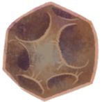 Dig A Hole In The Earth!