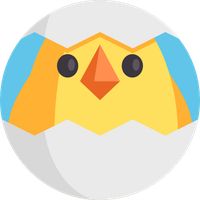 Ultimate Chick Catcher Game